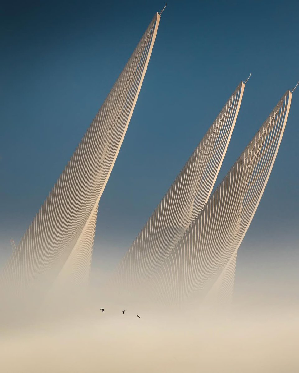 Minimalism Life® tweet media