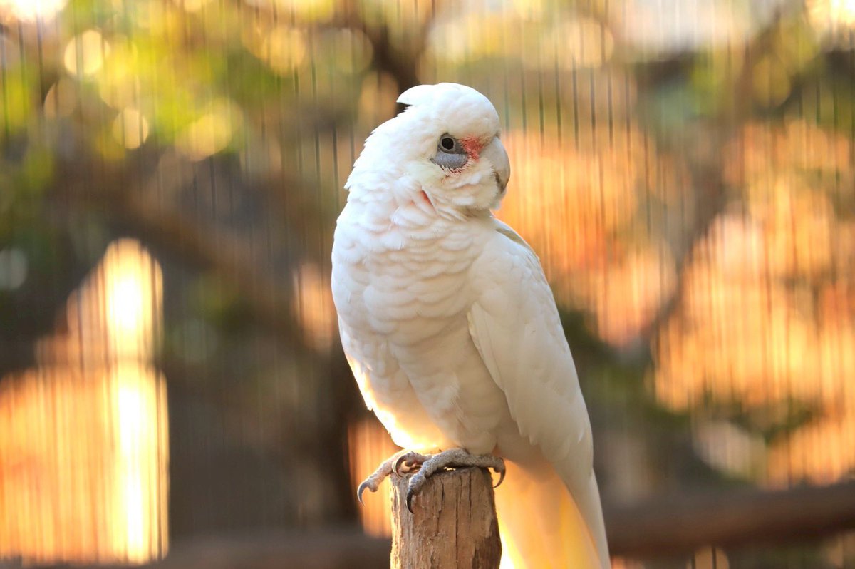 📢お知らせ📢 本日、30周年記念スタンプラリーも無事終了いたしました