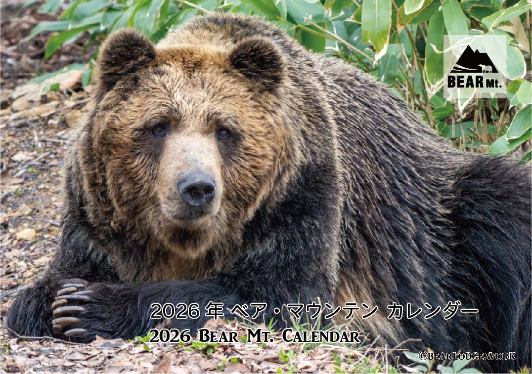 のぶクマ🐻C107 2日目 西あ-72b (西2) (@kumar0001) / Posts / X