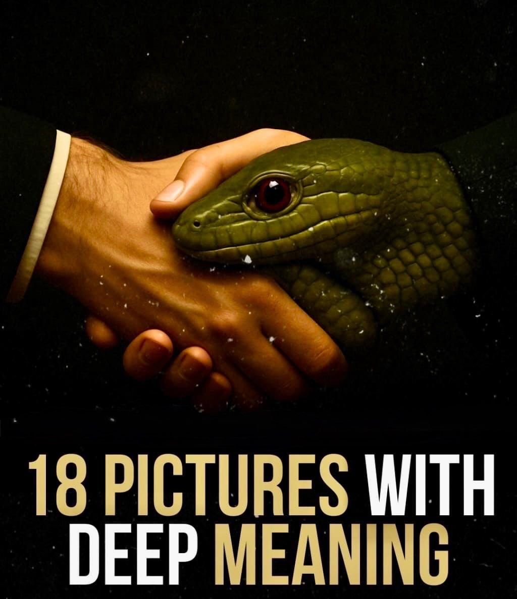 soni_jyoti_'s tweet image. 