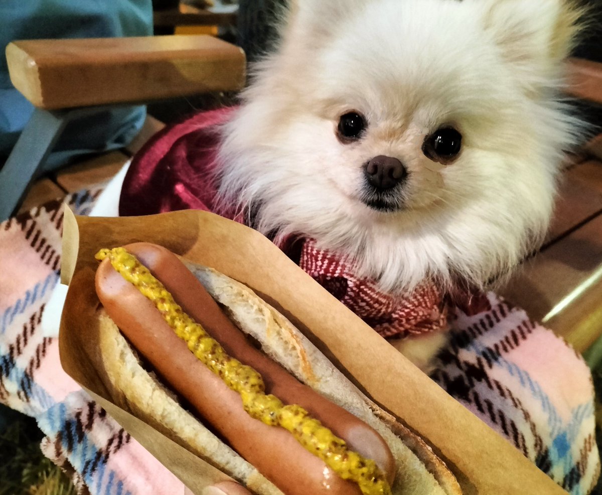 地元駅でクリスマスマーケットやってた🎄✨ 覗いてみるだけの予定だっ