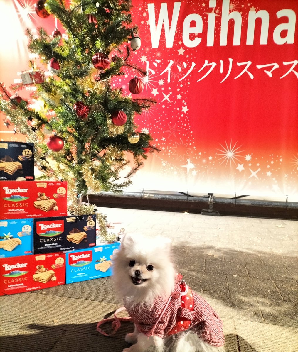 地元駅でクリスマスマーケットやってた🎄✨ 覗いてみるだけの予定だっ