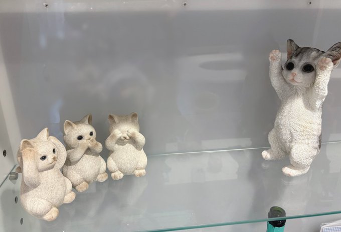 子猫maidcafeRagdollのツイート