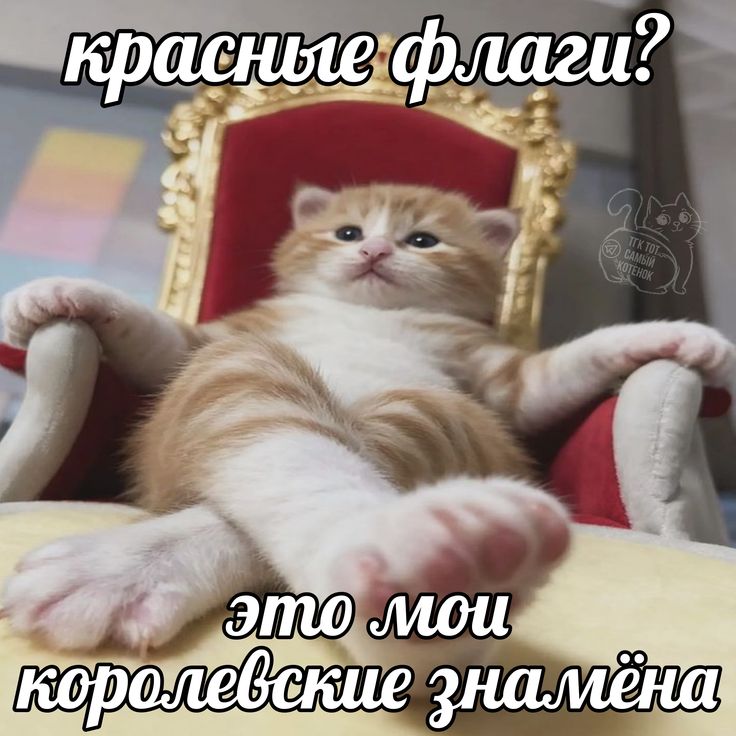 #ври #aftg 

Рико, когда всегда