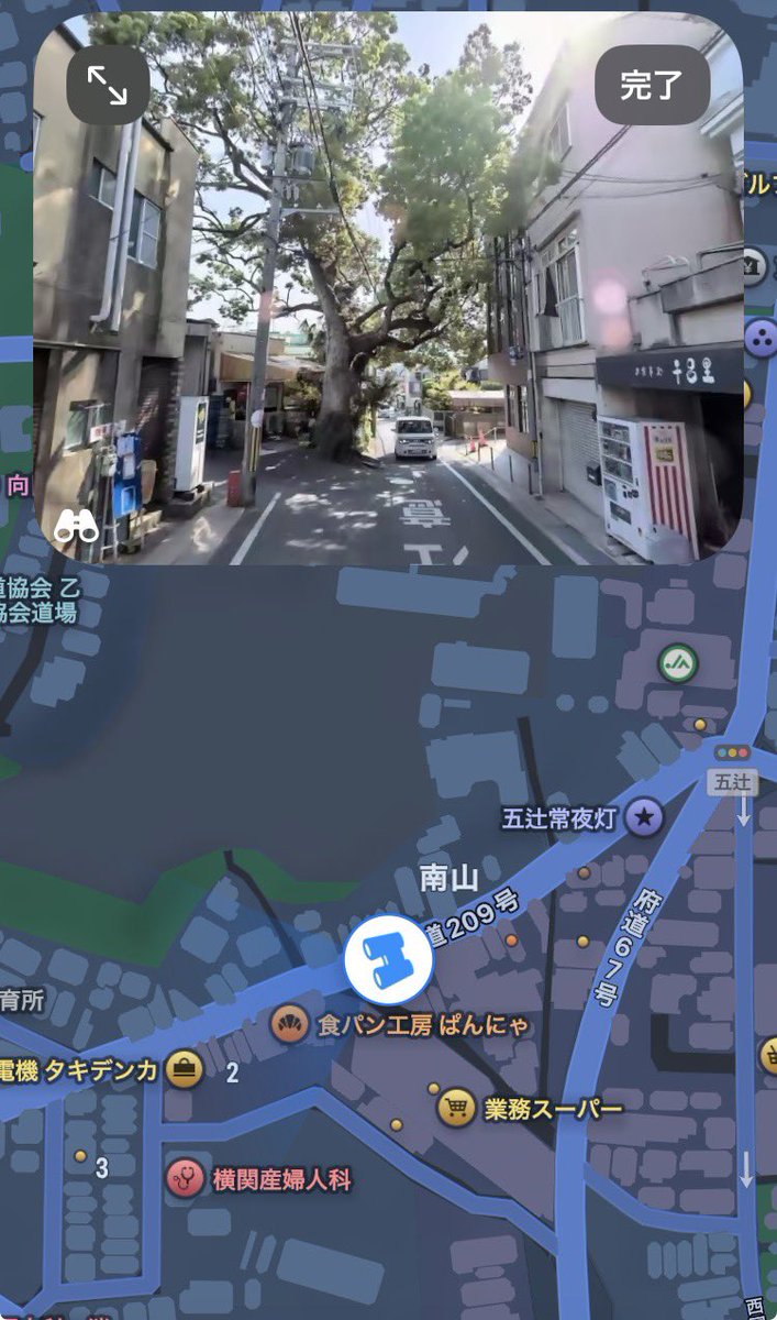 住宅街の細い路地に一本だけ大きな木があって、10年ほど前に見つけて