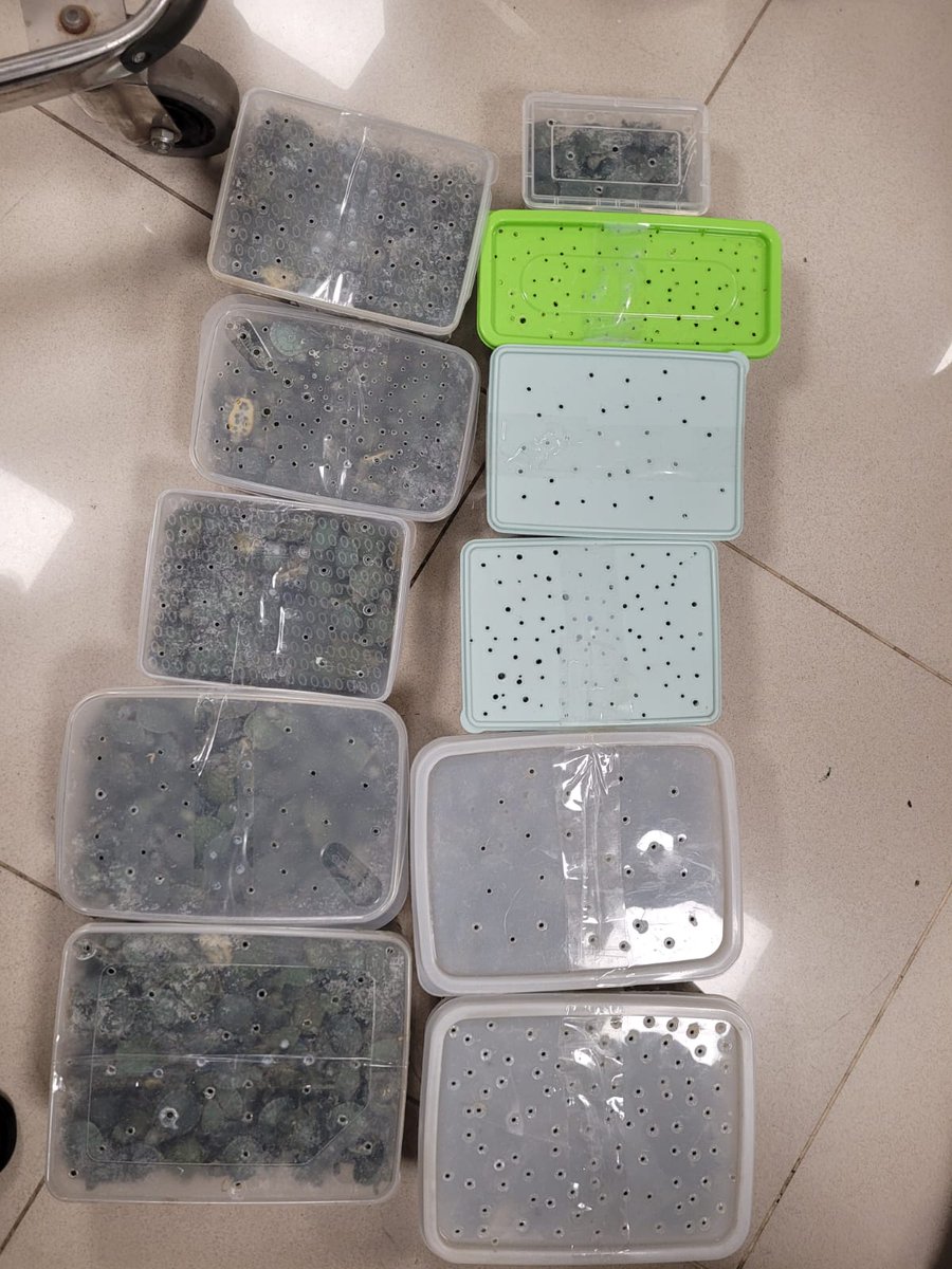 Seizure of 5061 Nos. of Red Eared Slider Turtles at Trichy International Airport on 06.12.2025.
#cbic #Trichy_Customs