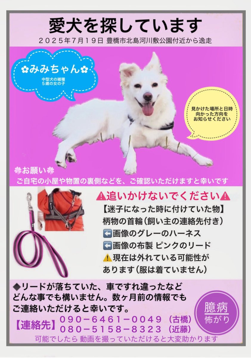 んみみ様確認用 mimimi様確認 公式通販