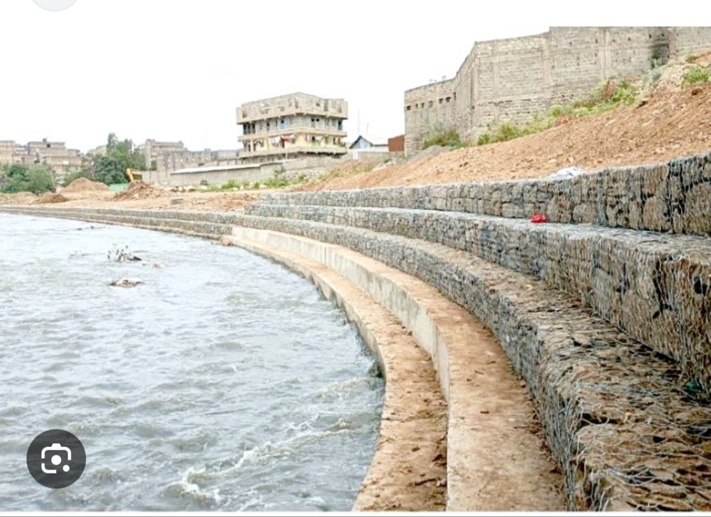 David Ndii tweet media