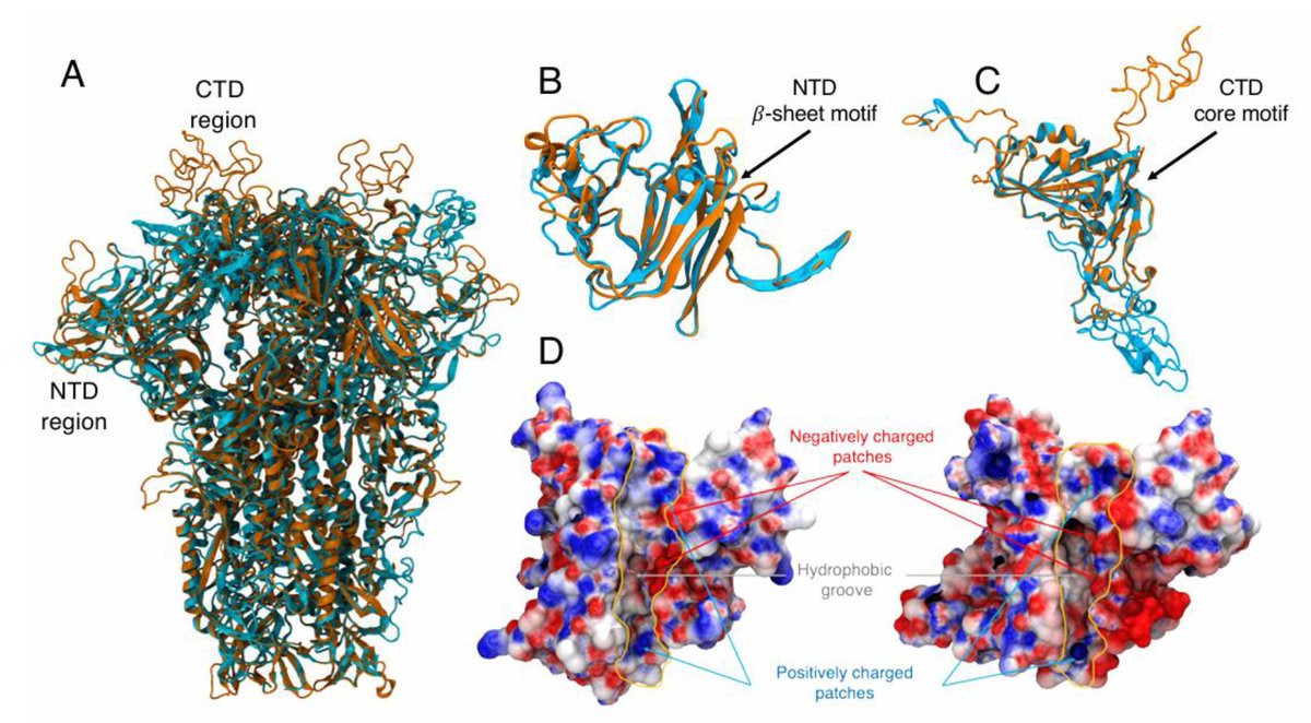 Jonas Schmidt-Chanasit tweet media