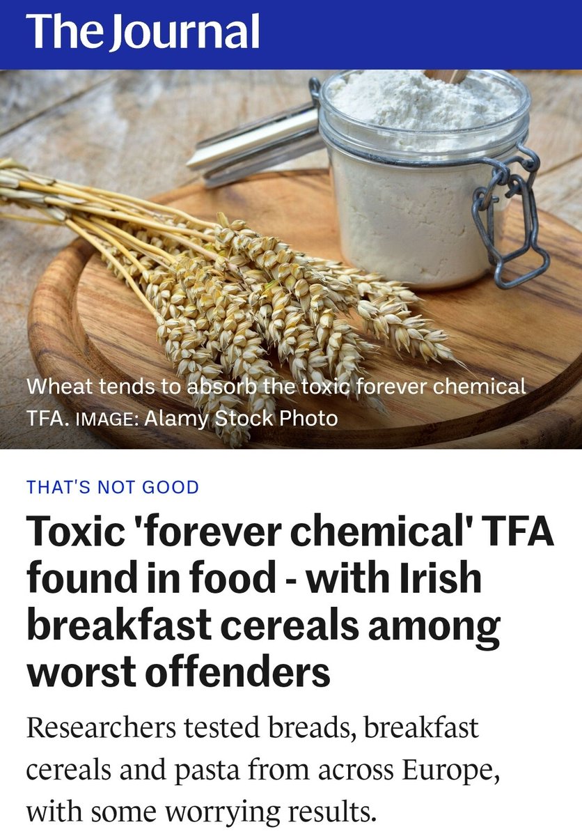 The Merry Mill tweet media