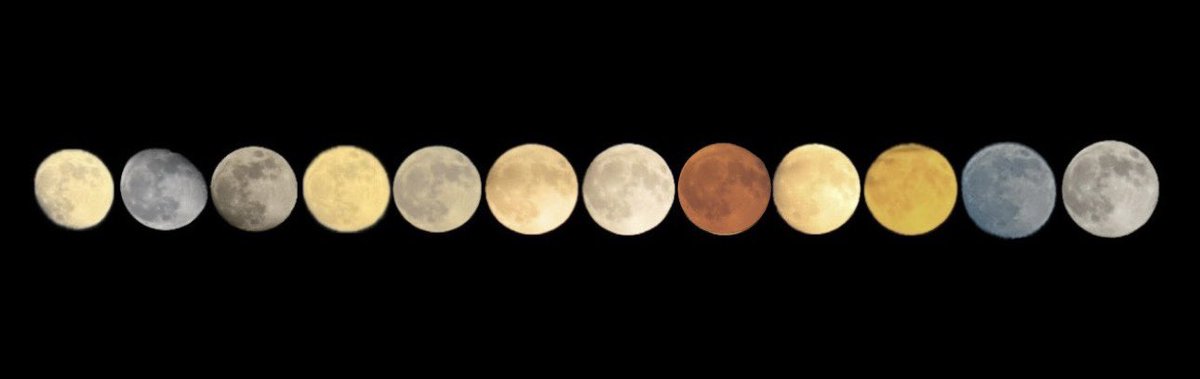 ProximaScience's tweet photo. The Moon’s real colors in 2025
(no filters, no Photoshop)
These colors aren’t fake.
They come from Earth’s atmosphere scattering light, the Moon’s changing distance .Which Moon is your favourite?#SciHumour #Moon2025 #Astronomy #NightSky #SpaceFacts #LunarEvents #Science https://t.co/kBvYnNNqzf