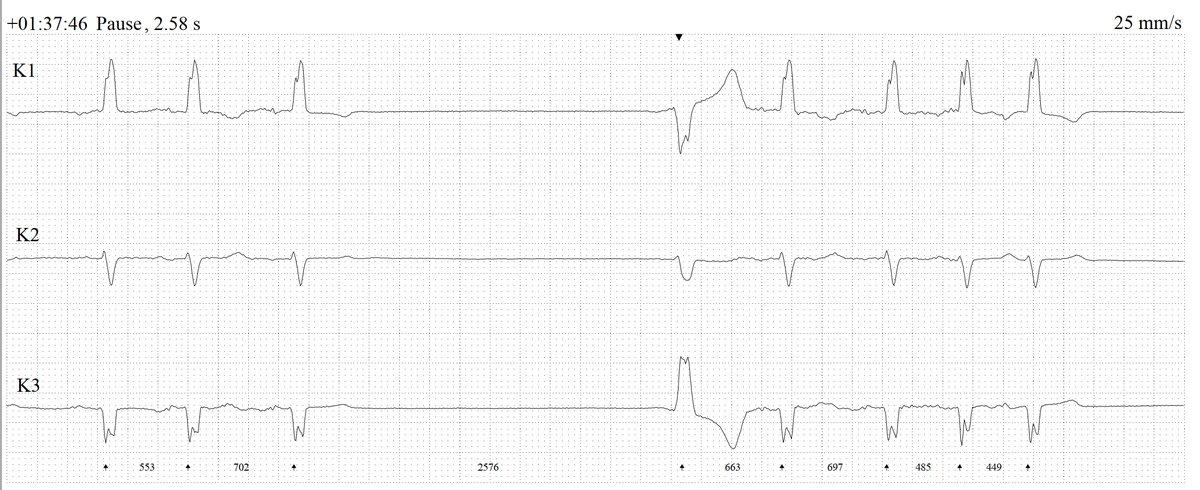 Dr. Andreas Roeschl tweet media