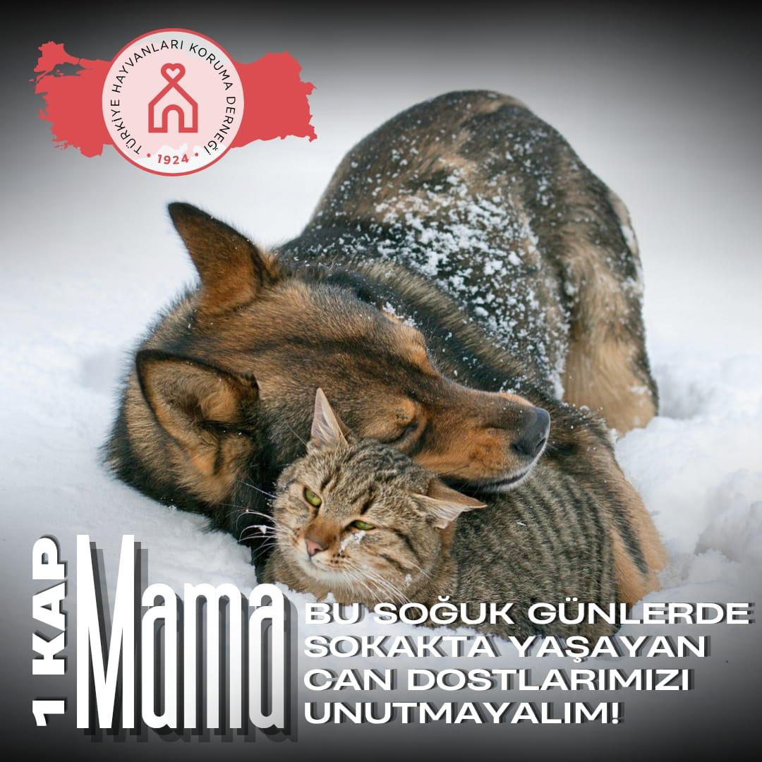 Onların bize ihtiyacı var💞