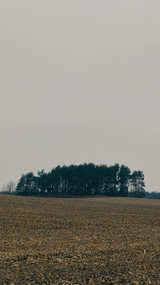Калі зранку я была дзесьці ў полі – значыць, я там бегала. 
Добрай раніцы ☕