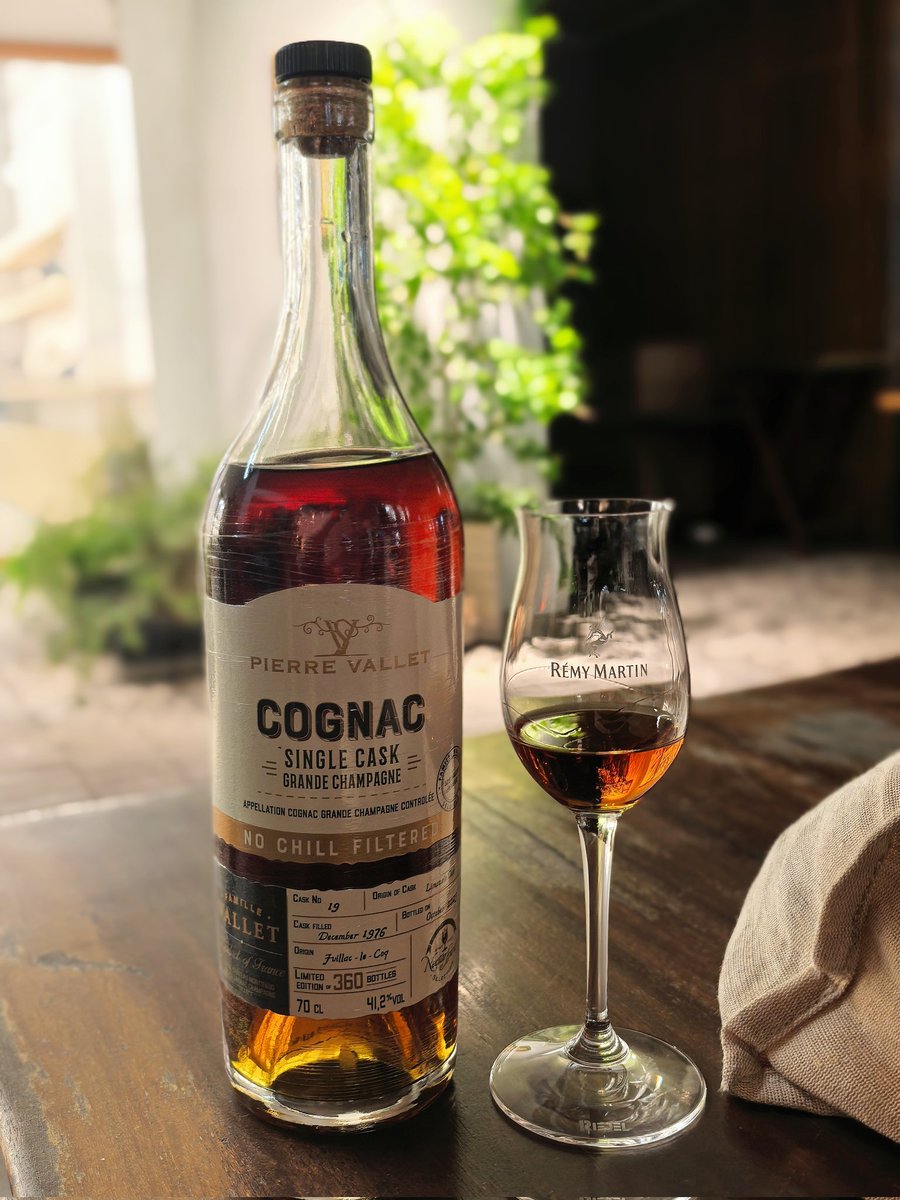 luhngemo tweet media