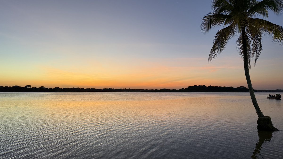 SolarcSolarc_'s tweet image. Sunny it is.