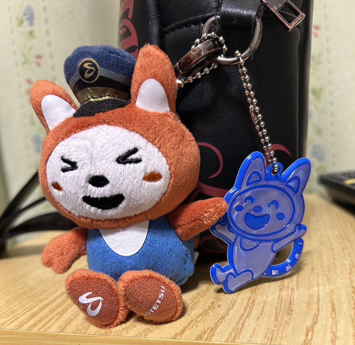 お出かけした先で、そうにゃんのぬいキーとリフレクター買ってもろた