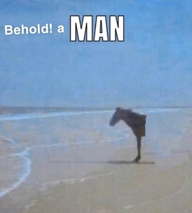 CSMFHT's tweet image. 