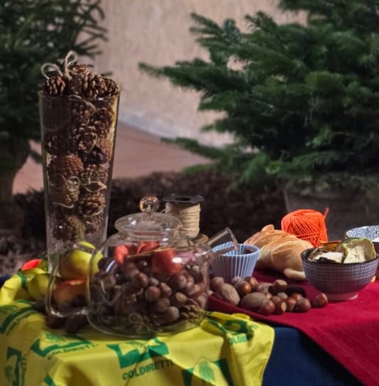 ColdirettiAL's tweet image. Con la festa dell’Immacolata parte ufficialmente la corsa ad addobbi e decorazioni
Natale: la tradizione dell’albero nelle case dell’88% degli alessandrini. Cresce scelta green
Spesa media per l’abete vero è di 42 euro, i consigli per allestirlo con prodotti naturali
@coldiretti