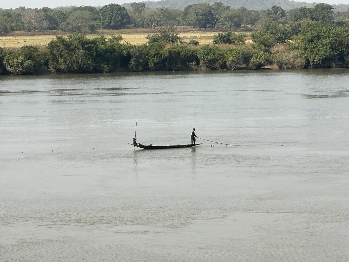 Diallo Abdoulaye Sadio tweet media