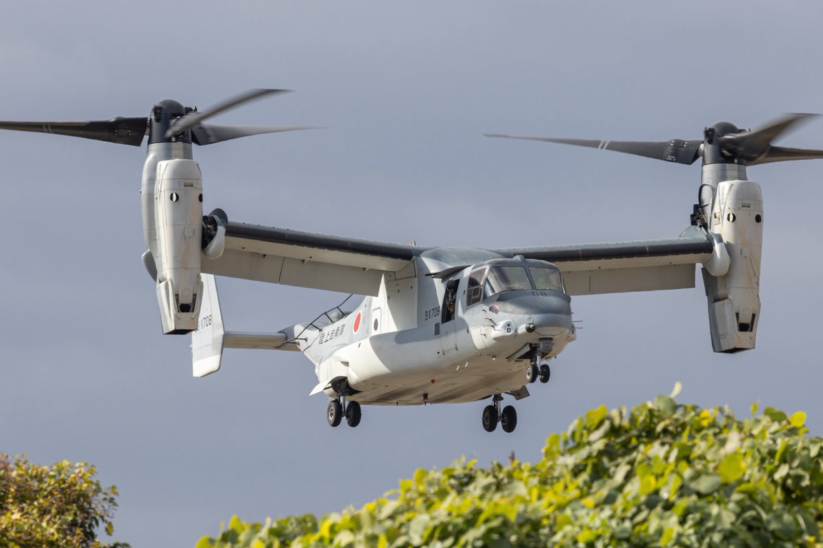 RJDM_Photo's tweet image. RJDM TAvnGp 107Avn V-22/91708
目達原駐屯地 ヴィーナス,オスプレイ

目達原ローカルへヴィーナスが✨
RW04での撮影は初めてだったけど、04の方が撮りやすかった‼️
目達原で見るヴィーナスやっぱりカッコイイな🤩
