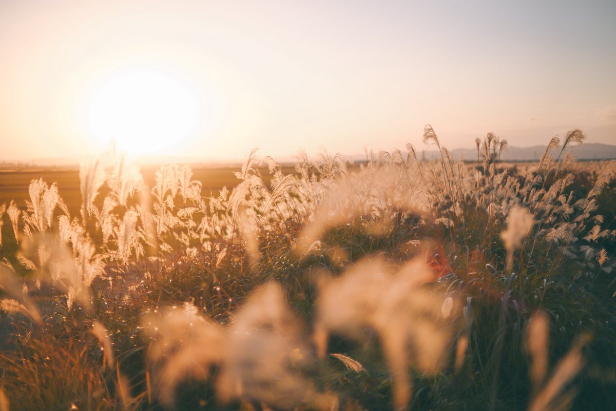 sty_830's tweet image. 