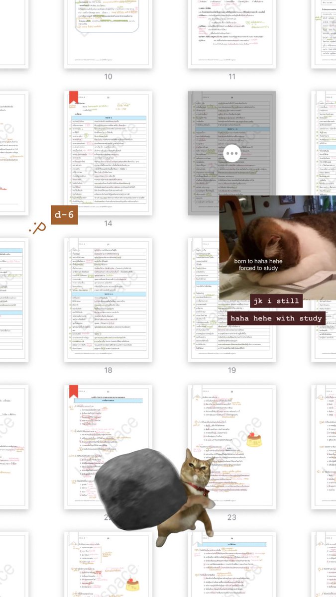 study with honey (@kittyinwinter) on Twitter photo 