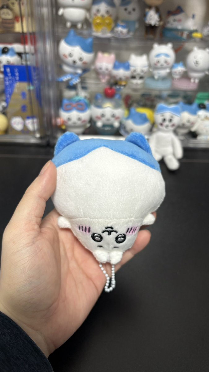 にゃっ太 (@427neko2) / Posts / X