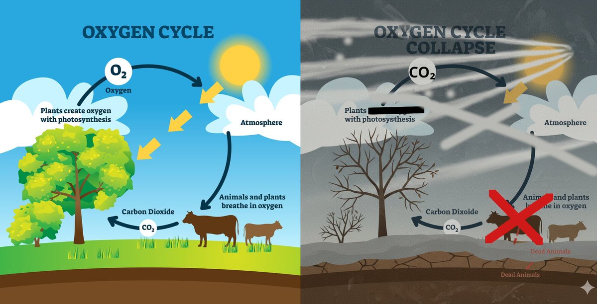 Fails_us's tweet image. Remember. #Dilute hydrogen peroxide (water + oxygen) surrounds individual particles, like bacteria, viruses, #spike #protein and burns them up!  It does not harm normal cells that stick together. Go out and breathe oxygen. Join the community and live longer!
