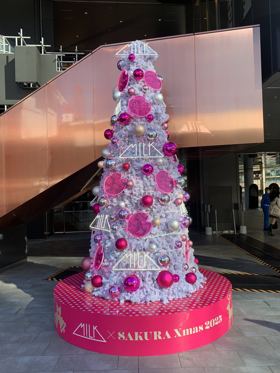 ☘️ スペシャルイベント☘️ラスト2☘️371 ❤️超希少【カメレオン】クリスマスローズ VERDYと「エテ」庄司夏子によるクリスマスセットが発売 - TOKION