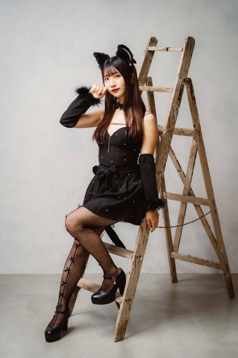 猫は梯子を上るのも得意です🐈‍⬛