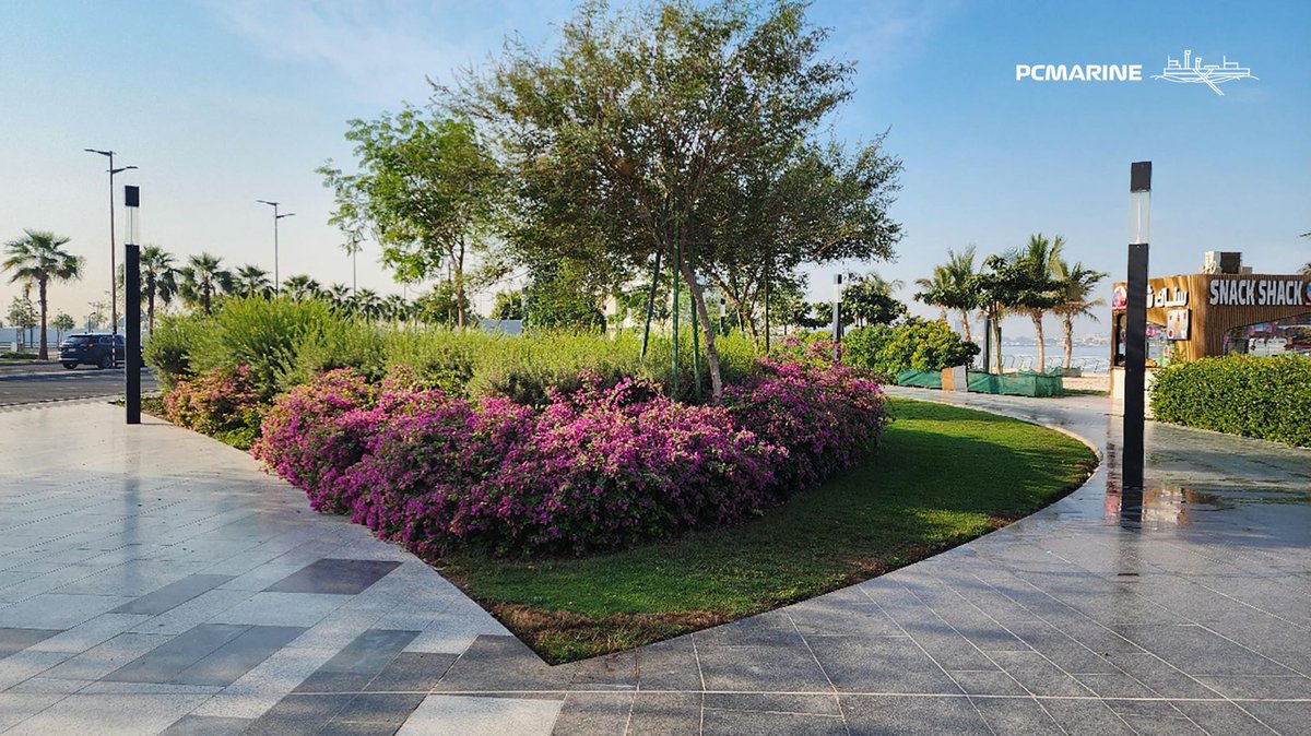 pcmarinee's tweet photo. Revisiting the South Obhur Waterfront!
A transformative project that reshaped a key area in Jeddah with upgraded roads, landscaped promenades, connected pathways, and vibrant public spaces — all built to enhance mobility, sustainability, and quality of life.
#landscape #roads https://t.co/Q9nyldIQN0