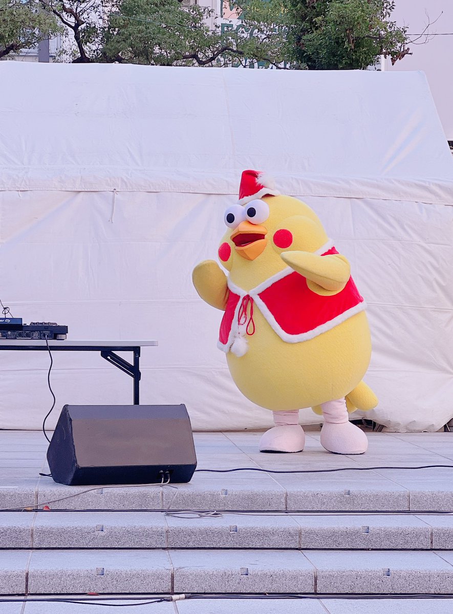 ぽいんこ ポインコと山歩き🐥🐥🐾 (@paopaopanda_jp) / Posts / X