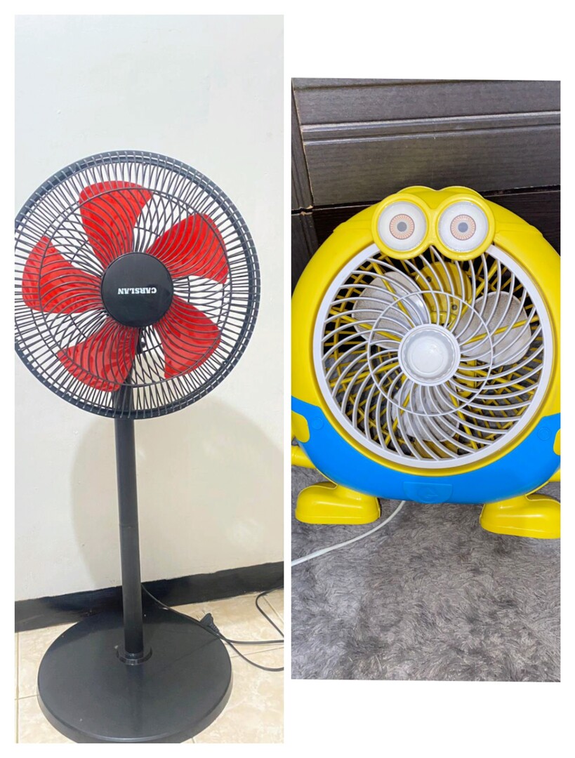 🦈 SUROBOYOFESS 🐊 tweet media