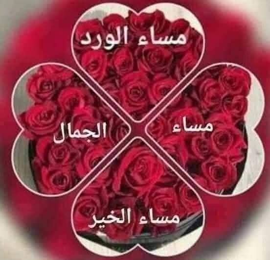 //آبّن:عَـــلَآن.لَلَدُعَمِ//Yemen// tweet media