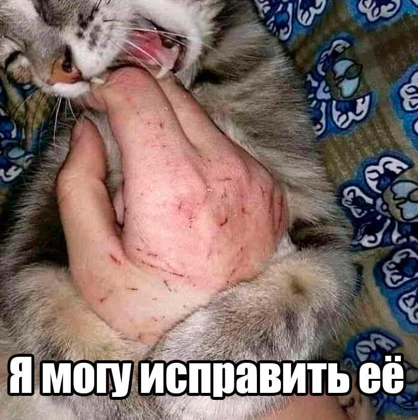 мужики сначала находят себе стервелл, а потом такие