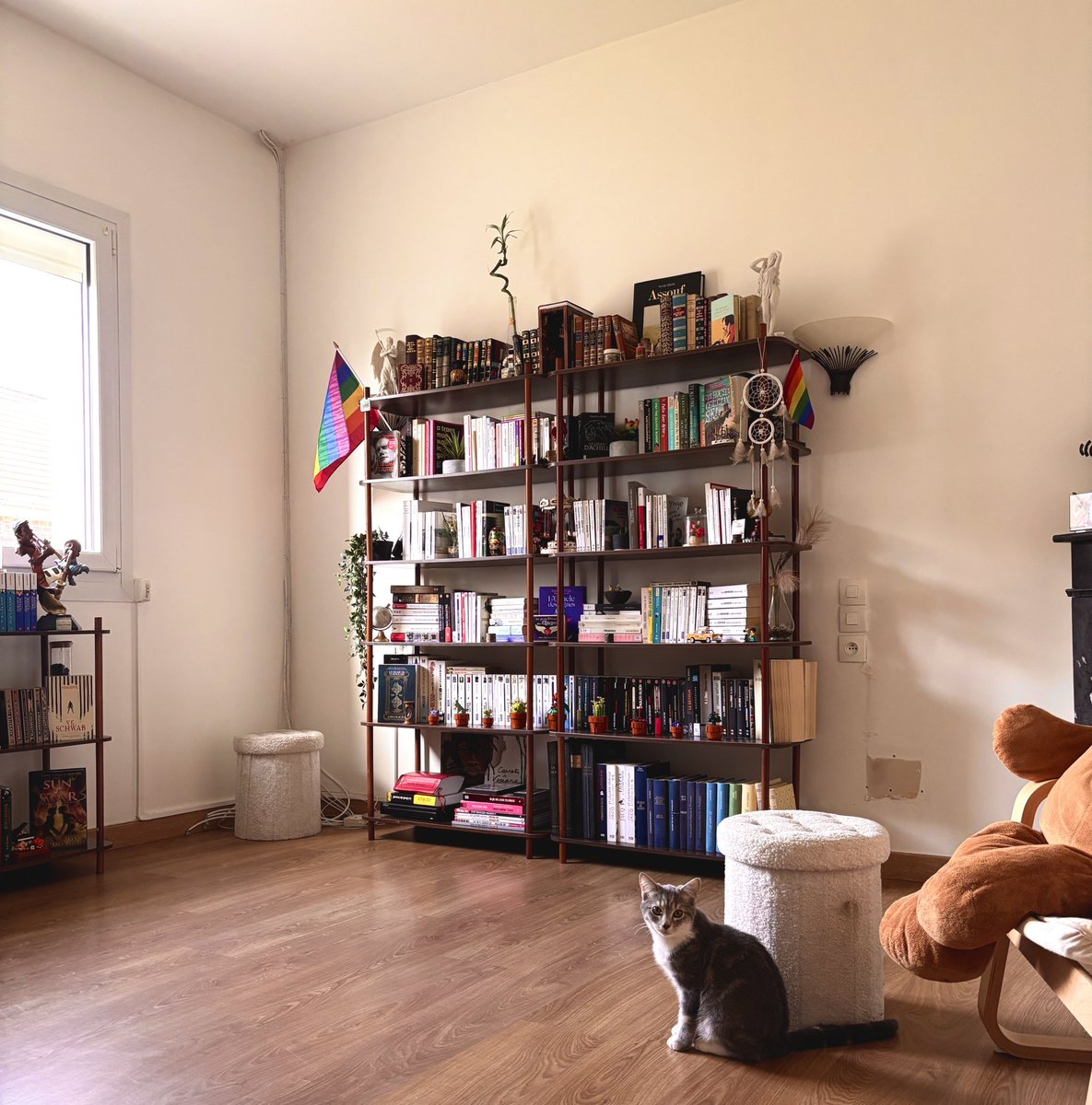 bordeligne's tweet photo. notre bibliothèque (pas fini) et la vue que nous offre la pièce j’suis fan (encore plus quand les oiseaux viennent aux mangeoires) https://t.co/9cLurhHNUM