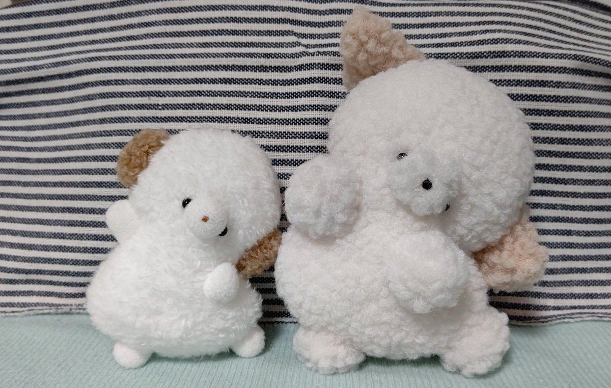 連続投下。
３７℃様より、フレフレチアちゃんわんこをお迎えしました。
以前にお迎えしたミニちゃんと並ぶと、可愛さ爆発です。
こんな子達に応援されたら、頑張るしかないですね😁
#さんじゅーななどっこ
#ぬい撮り