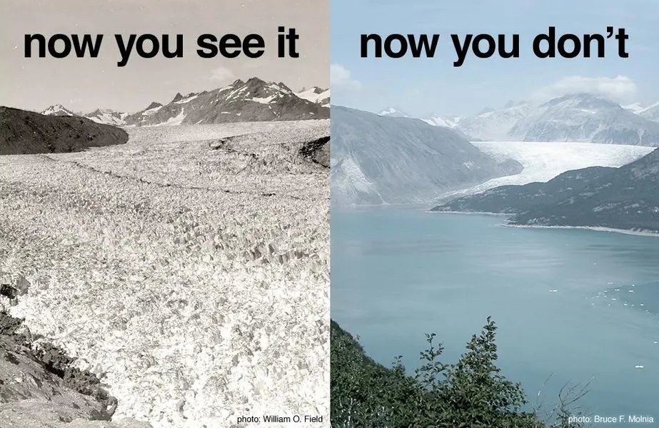 foxaudiores's tweet photo. @NikolovScience Lay person here, but I think the biggest risk is to the glacier based water sources, that support significant populations. 
 
Example: Glacier National park 1941 vs 2014 https://t.co/Iy2Fu8ywbQ