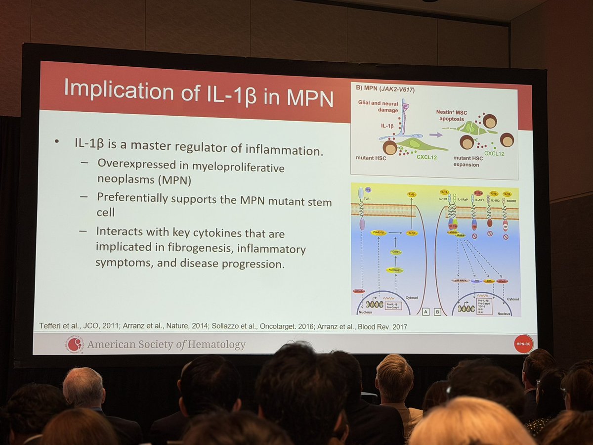 mpdrc's tweet photo. #ASH25 @mpn_consortium clinical trial (co-led by @AtriumHealthWFB Comprehensive Cancer Investigator #RupaliBhave) showing symptom benefit of canakinumab MPNRC122 trial, and setting up pivot to new “add on” extension of this trial. @AtriumHealth #LevineCancer @wakeforestmed https://t.co/OkulZ1crxi