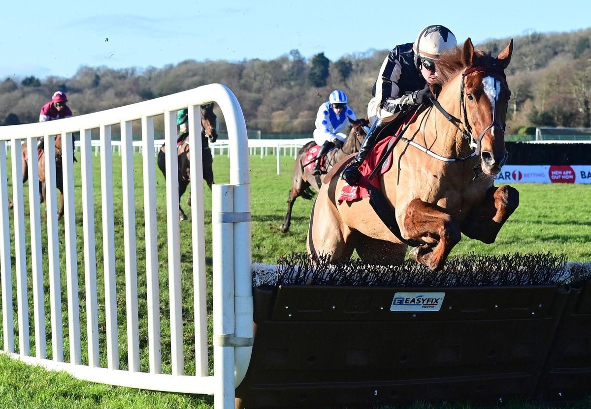 Coolmore tweet media