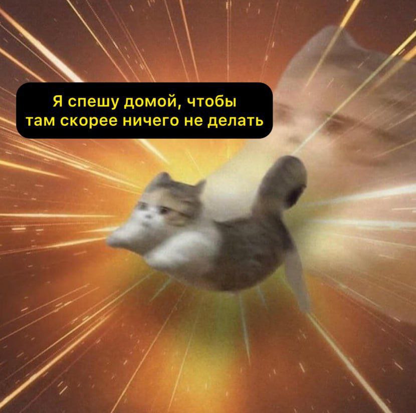 cats, i love cats (@catsilcats) on Twitter photo 