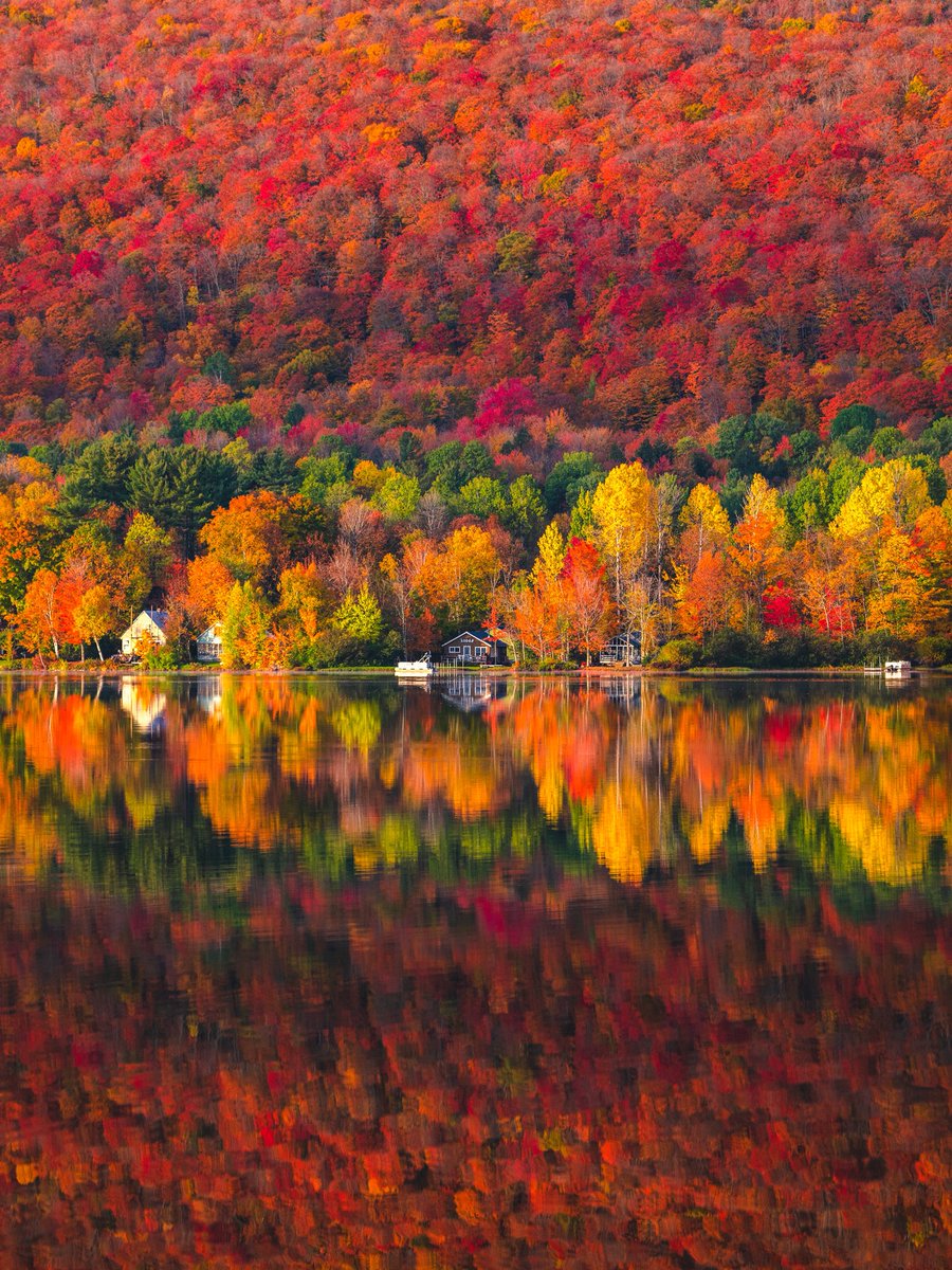 Eric Rubens tweet media