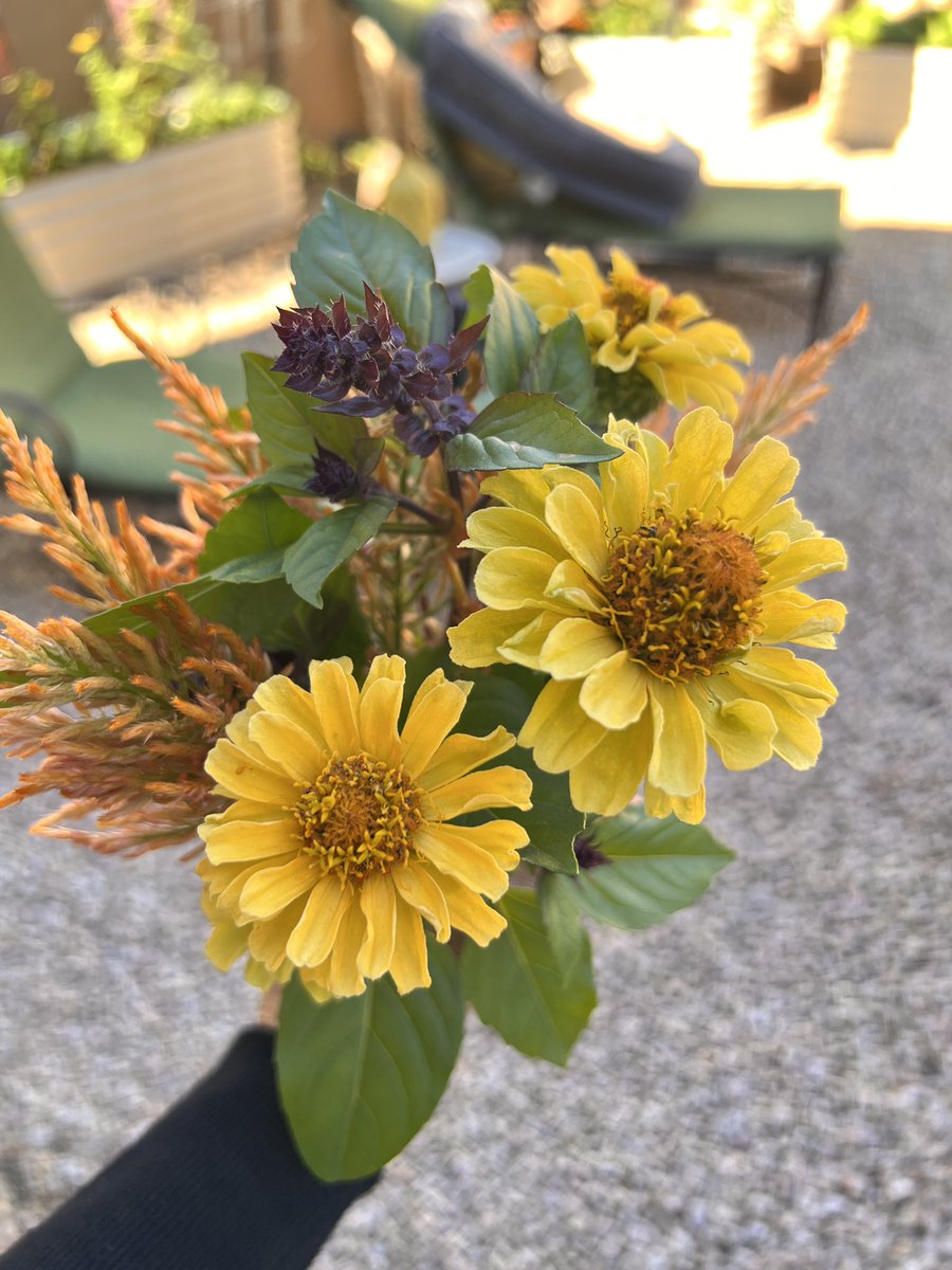 Pretty… not bad for December ☺️