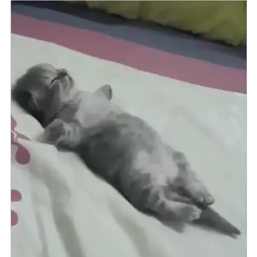 when you're 250k lines of code deep