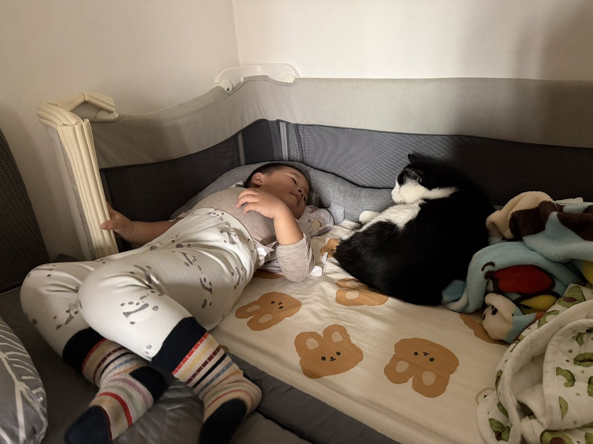 王老白 tweet media