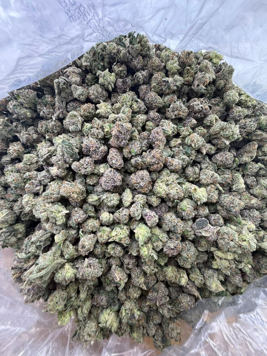 Bud_central3's tweet image. NC WE ACTIVE &amp;amp; LOADED 💨❄️🔥
Got the GAS ⛽, the SNOW ☃️, and EVERYTHING you need — same-day drops movin’ CRAZY!
Active statewide:
Charlotte • Raleigh • Greensboro • Durham • Winston-Salem • Fayetteville • Wilmington &amp;amp; surrounding
Bio link 
#NCPlug #CharlotteWeed #704Plug