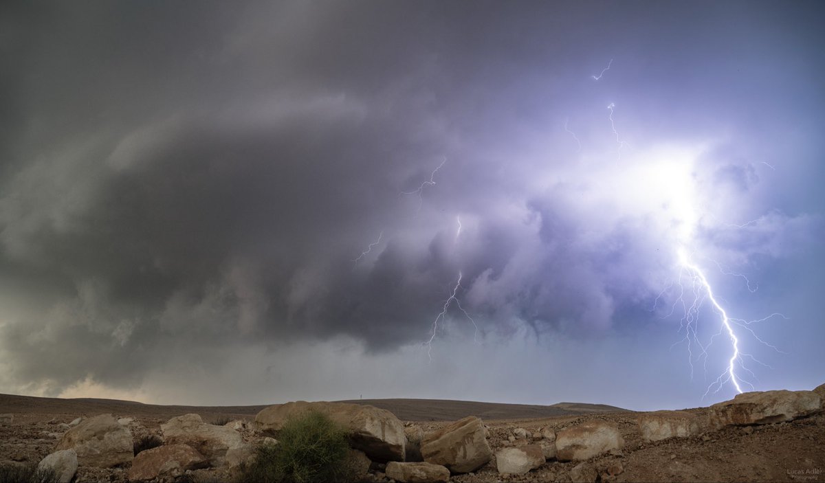 Lucas Adler tweet media