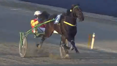 Koko matkan johtanut Irma Ferm (The Bank)/Marco Stefani voitti ylivoimaisesti 2-vuotiaiden tammojen Gran Premio Allevatori MASAF'in (Gr I-180 400€) Torinossa ajalla 15,6a/2100 metriä. I Love America (Muscle Hill)/Santo Mollo hävisi kuusi kymmenystä.