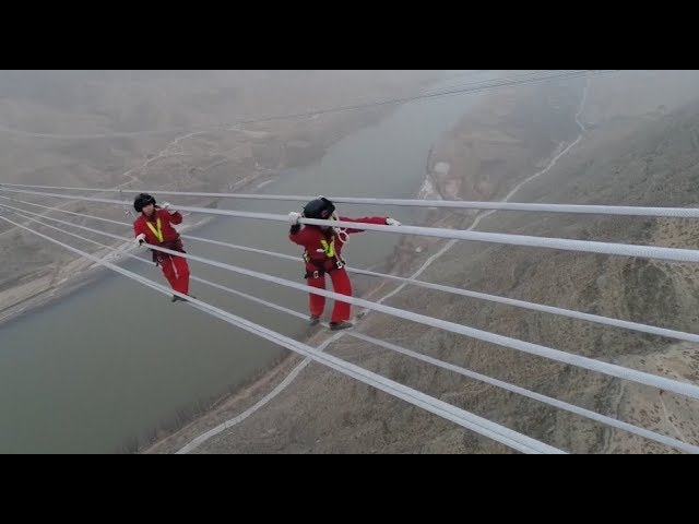 BioCoderDojo Timisoara tweet media